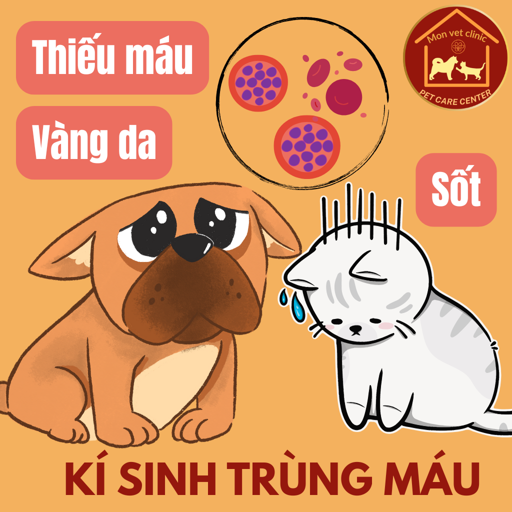Ki-sinh-trung-mau